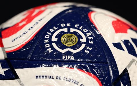 The favourites to win the World Cup .